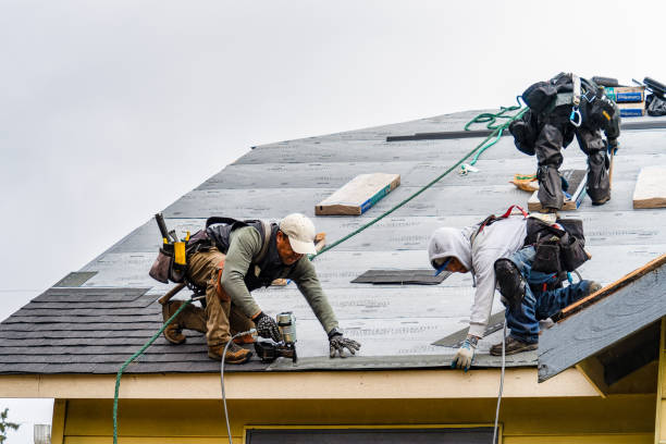 Professional Roofing technician working in Rumsey, KY